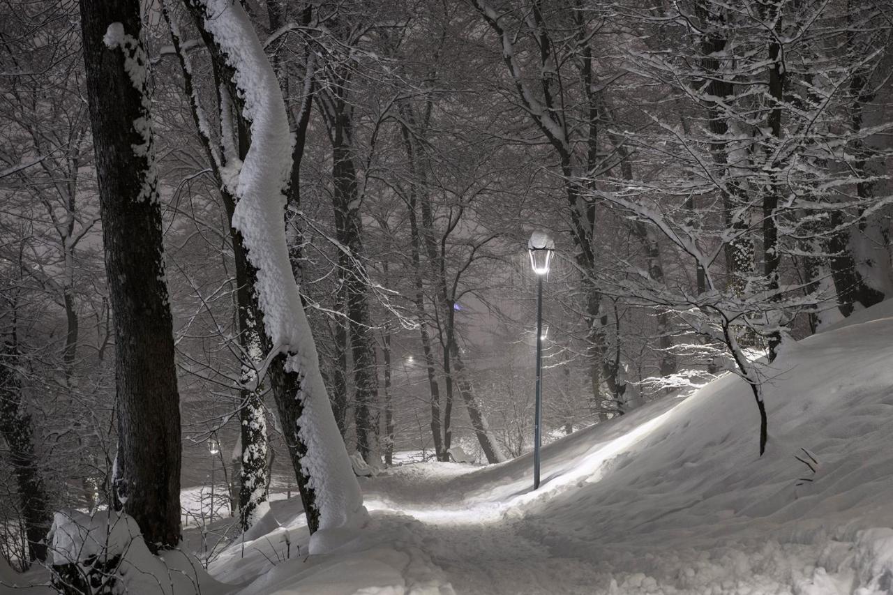 Margaret Place * Braşov